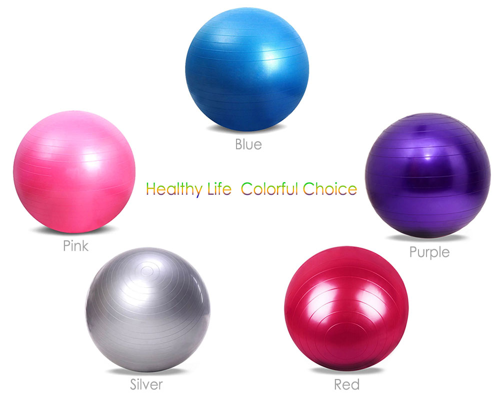 Outlife 65cm PVC Exercise Gym Yoga Ball for Fitness Training