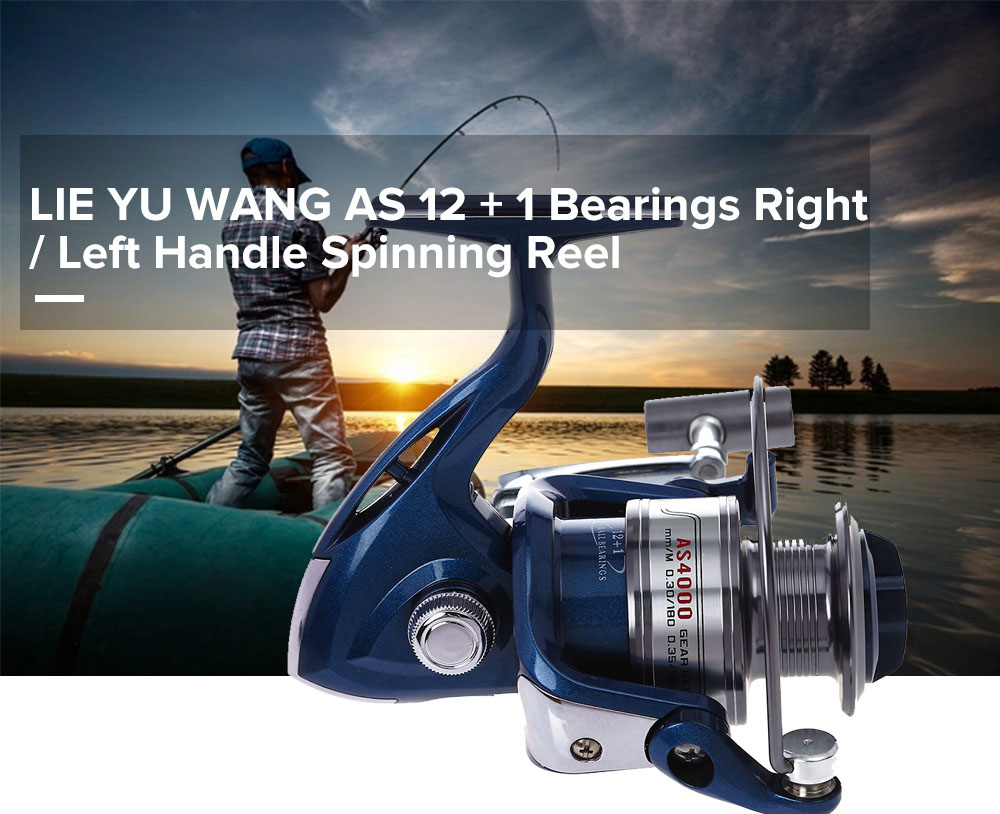 LIE YU WANG AS 12 + 1 Bearings Right / Left Handle Spinning Reel