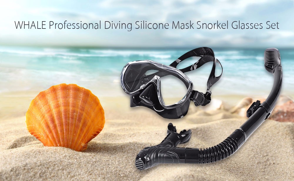 WHALE Professional Diving Silicone Mask Snorkel Glasses Set