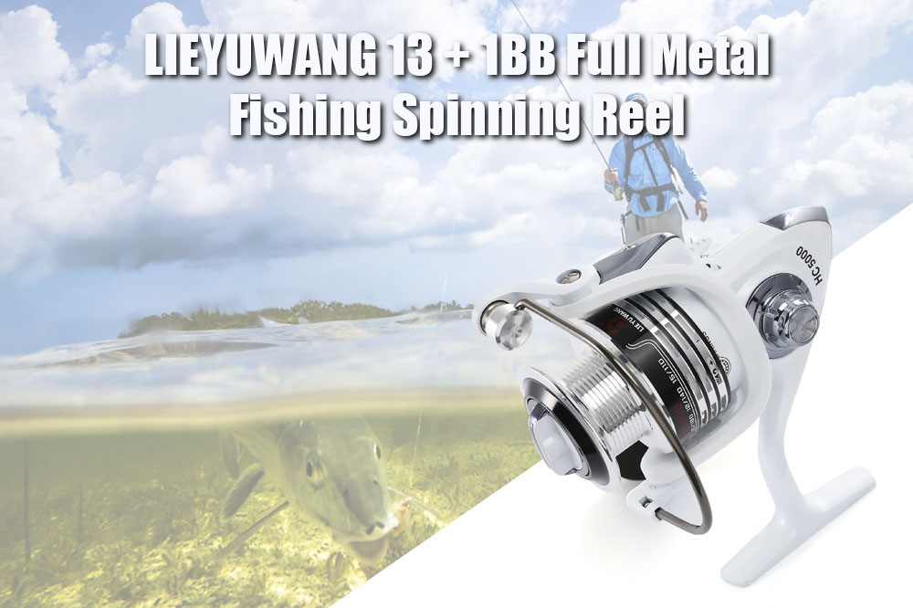 LIEYUWANG 13 + 1BB ( True 6 + 1BB ) Full Metal Fishing Spinning Reel with Exchangeable Handle