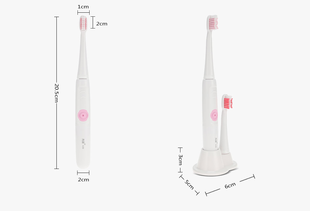 Dry Battery Power Electric Toothbrush Waterproof Ultrasonic Sonic Tooth Brush