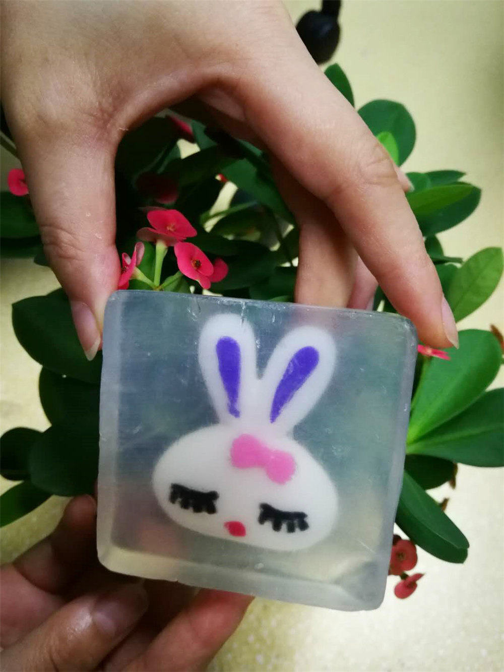 Manual Oil Soap The Cartoon Rabbit
