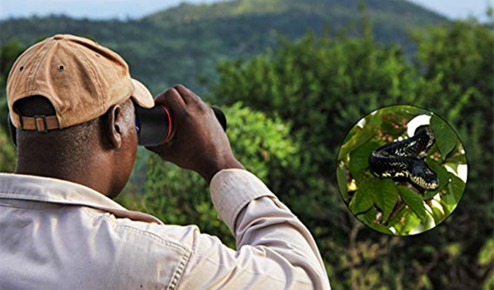 30X60 Magnification Outdoor Travel Folding HD Binoculars