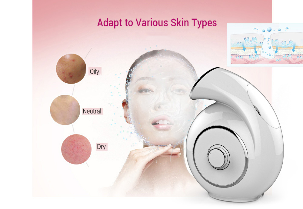 CN - 8110 Hot Ionic Facial Steamer Home SPA Face Skin Care Humidifier