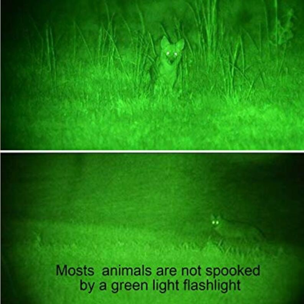 Green light LED Coyote Hog Pig Varmint Predator Hunting Light Flashlight