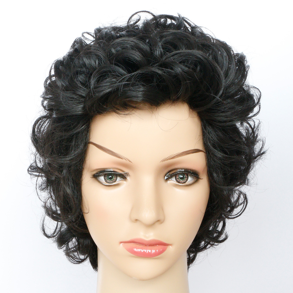 Short Curly Hair Synthetic Wig
