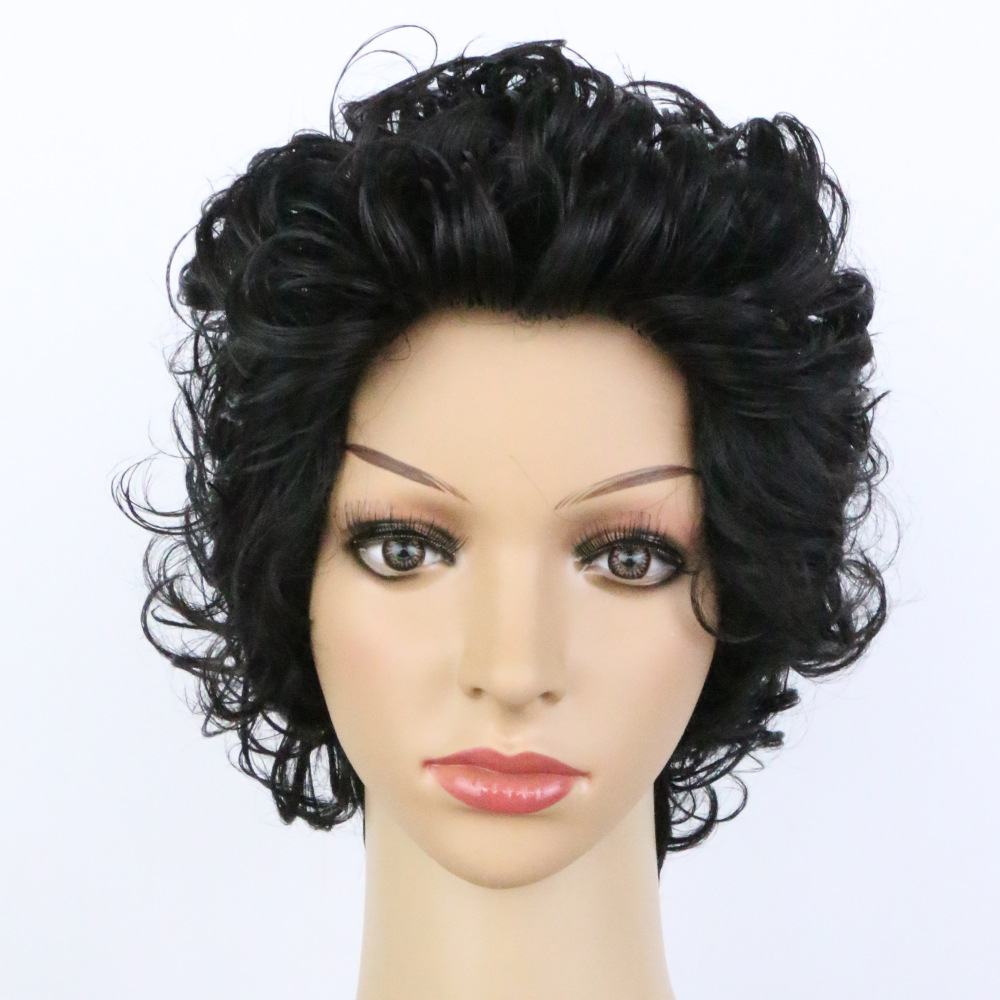 Short Curly Hair Synthetic Wig