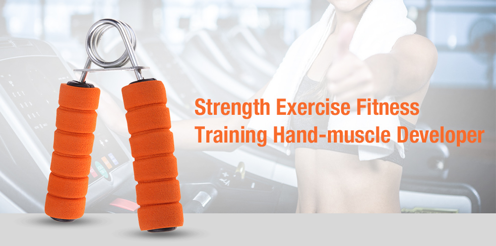 Wrist Arm Strength Exercise Fitness Hand-muscle Developer