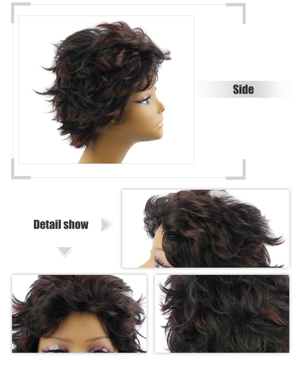 AISIHAIR Women Short Slightly Curly Black and Coffee Synthetic Wigs