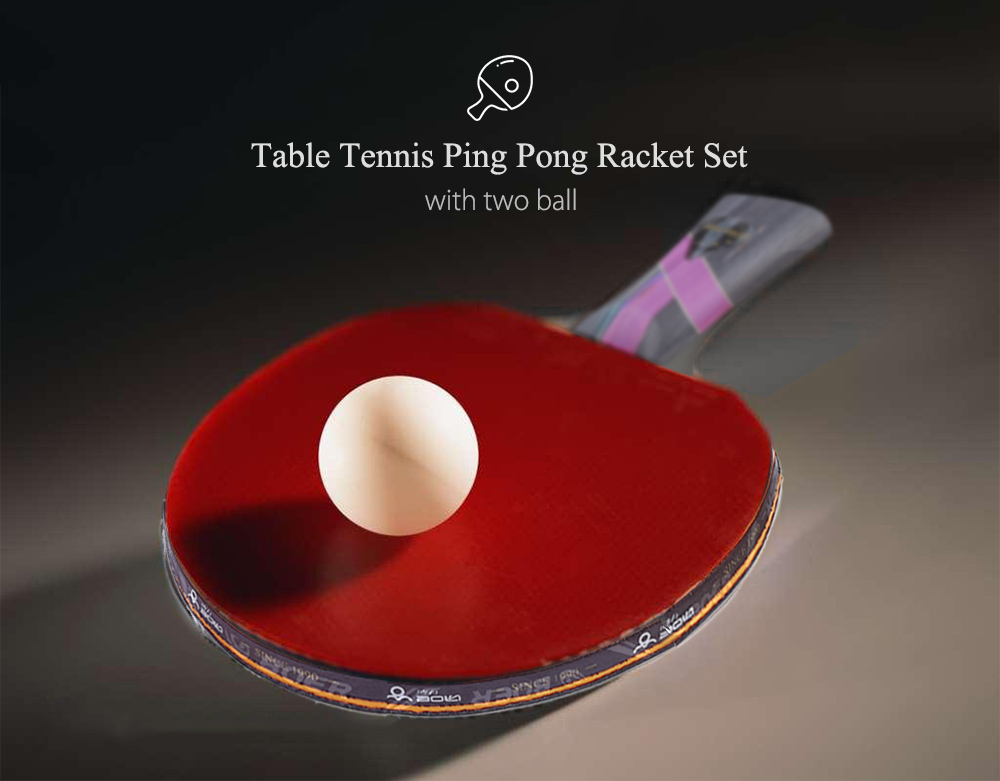 BOLI Three Star Outdoor Table Tennis Rubber Ping Pong Racket with Ball
