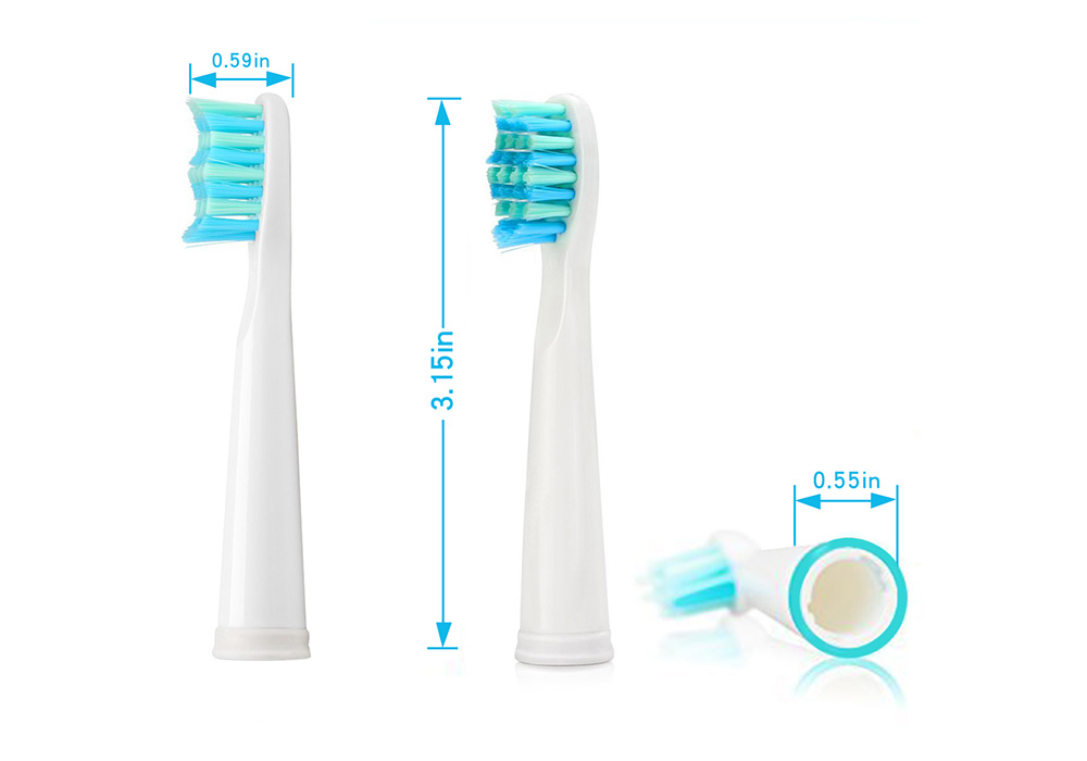 SEAGO Creative Electric Toothbrush Replacement Head 5PCS for SG503 SG - 507