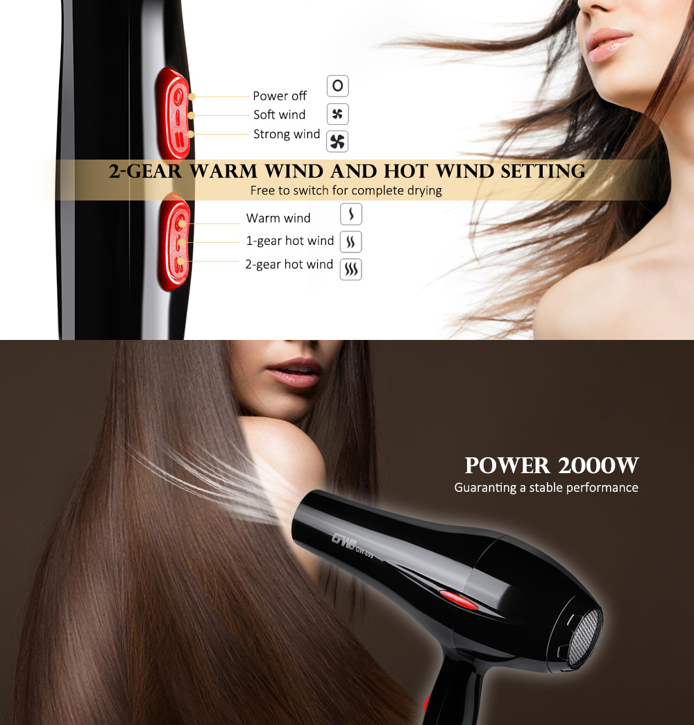 Guowei GW - 699 Professional Salon 2000W Electric Hair Blow Dryer