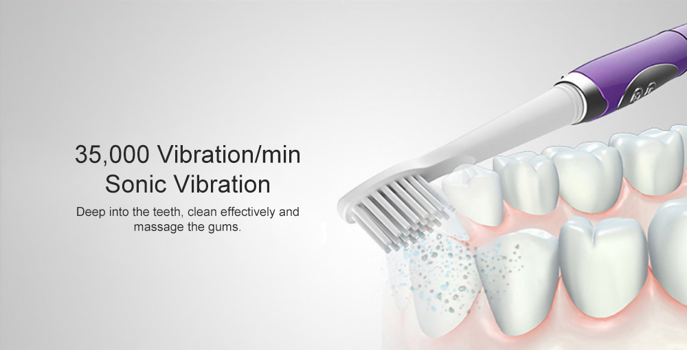 SEAGO SG - 659 Waterproof Sonic Electric Toothbrush Intelligent 2-min Timing with 3 Brush Heads