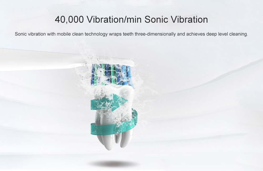SEAGO E2 Waterproof Sonic Electric Toothbrush with 2 Brush Heads