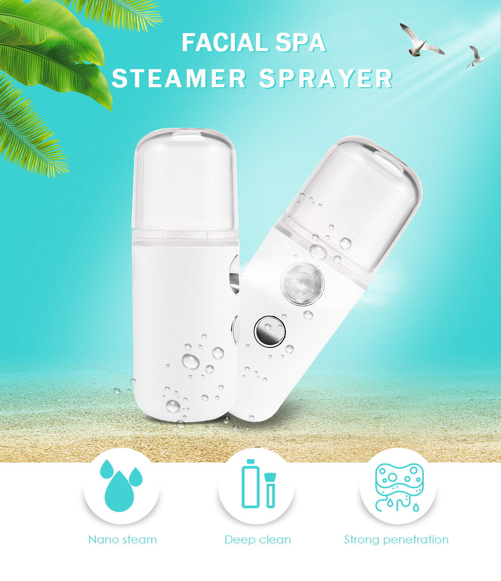 Portable Facial Mist Rechargeable Sprayer Machine for Face Skin Care Travel 30ML