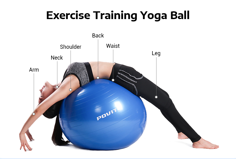 Povit P - 9214 65CM Yoga Ball with Pump for Fitness Balance Workout