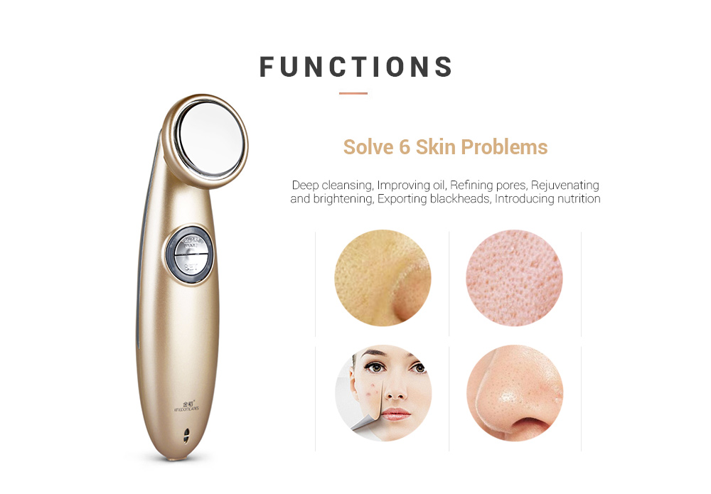 KD9930 Facial Thermostat Beauty Introduction Instrument Face Cleansing Massager