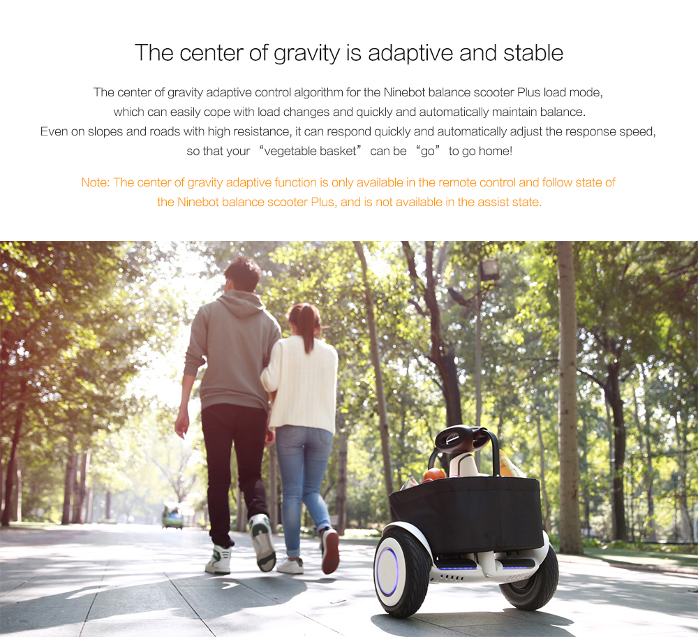 Ninebot Carry Basket for Balance Scooter Plus from Xiaomi mijia