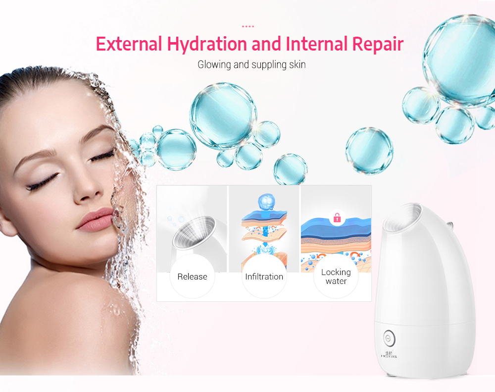 KINGDOMCARES KD - 2331 Hot Ionic Facial Steamer Home SPA Face Skin Care Humidifier